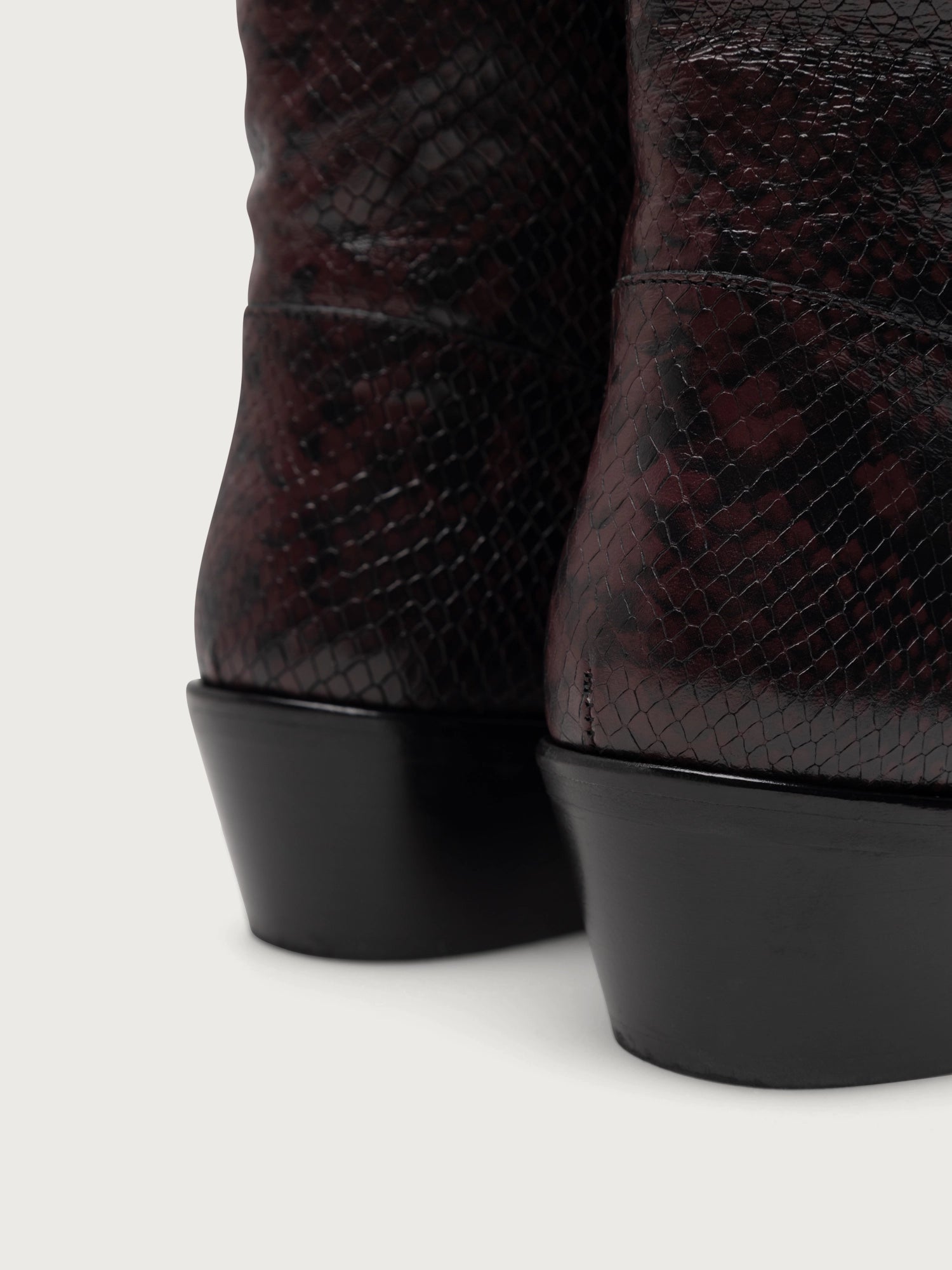 GAUCHO 05